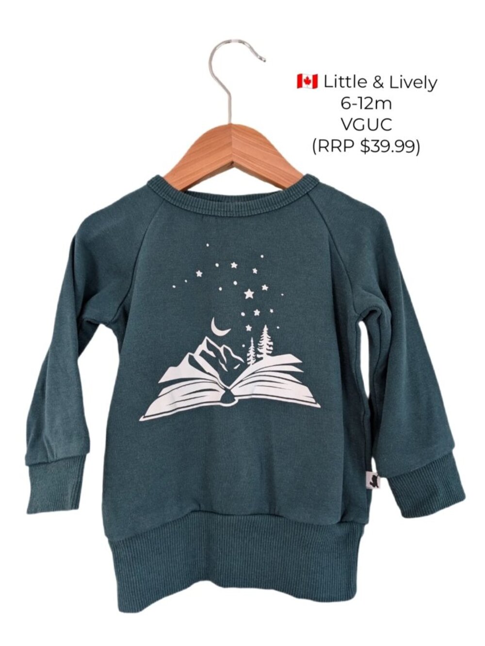 Little & Lively Camping Book Green Sweater 6-12m